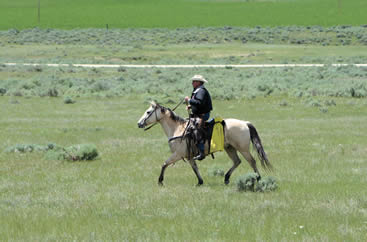 Reporting from China with USDA Secretary’s of Agriculture Ed Shafer and Dan Glickman